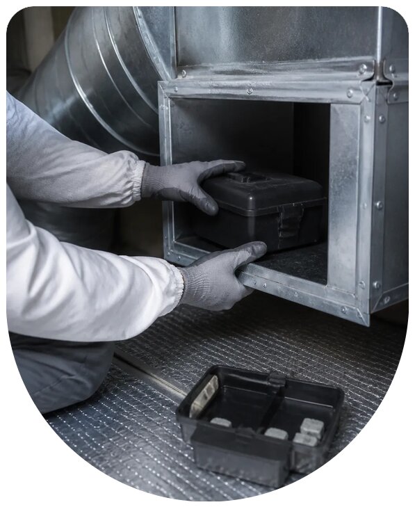 Профессиональная дератизация вентиляции в Краснокамске от грызунов